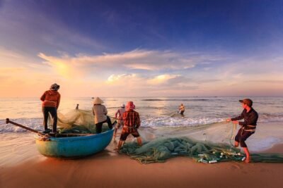 10 estrategias pesca mosca agua salada costa