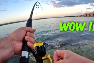 Manos sujetando una caña y carrete de pesca frente al mar al atardecer 2kfOIQy9W9s