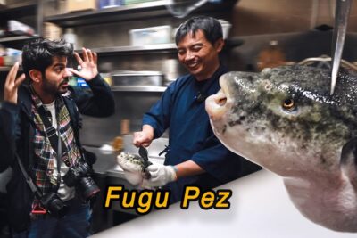 Cocinero con guantes sosteniendo un pez globo fugu 2z20joIZSQo frente a una cámara