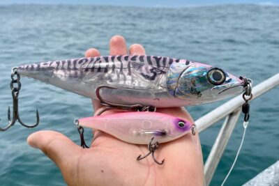 Mano sosteniendo dos señuelos de pesca, uno plateado con franjas y otro rosa, sobre el mar 33FjBzXofNQ