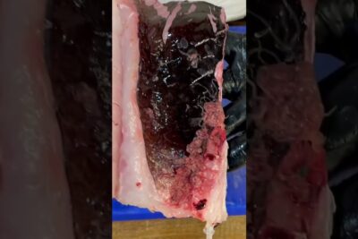 Filete de pescado con piel oscura y borde de grasa blanca observado sobre una tabla azul 3qA0SydLwfA