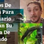 Descubriendo el Fascinante Mundo del Pez Similar Zone