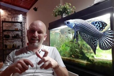 Hombre sonriente junto a un acuario plantado y un pez ornamental llamativo 97xl3L0HhJQ.