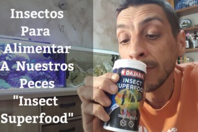 Hombre sosteniendo un envase de Insect Superfood para alimentación de peces junto a un acuario ASPb0p6bawI