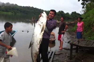 Hombre levanta un pez gigante en la orilla del río DEg MrAqWVY.