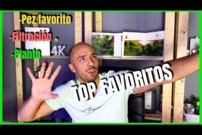 Presentador gesticulando frente a estantería con acuarios y texto promocional mostrando DN10L 3v3ns