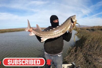 Hombre con pasamontañas sosteniendo un gran esturión DmSBu5qb6Hc junto a un río