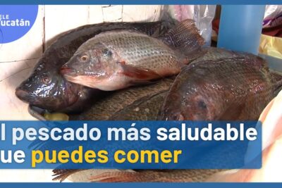 Varios pescados enteros frescos apilados en un mostrador de mercado Gu H6v3ZFJM