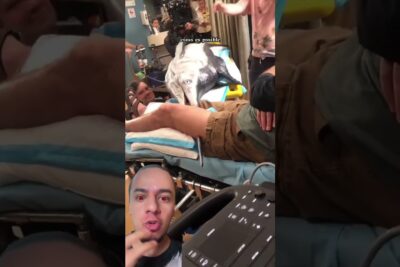 Hombre en primer plano con expresión sorprendida frente a camilla donde hay una réplica de delfín H31EpbJug9o