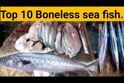 Pescados de mar enteros y filetes sin espinas IKSIBQZJ8O0