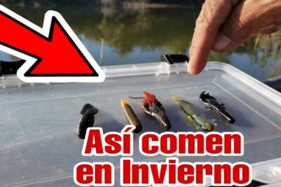 Variedad de señuelos blandos sobre la tapa de una caja transparente junto a una mano señalando, KEgPbSSjwK8