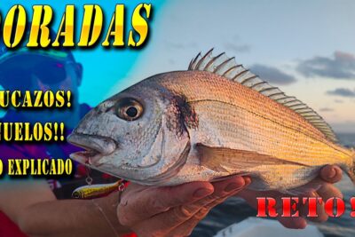 Pescador sosteniendo una dorada recién capturada en el mar al atardecer Lu3YjgtuLkQ