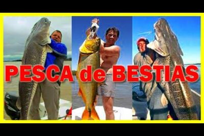 Hombres sosteniendo enormes peces capturados en alta mar NSv92hT 2fY.