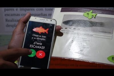 Teléfono mostrando una app con un pez naranja y la pregunta '¿Tiene ESCAMAS?' QP8Cx9qfTc4