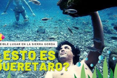 Persona recostada en el lecho rocoso con peces nadando en agua cristalina R7f6HyL XI 7