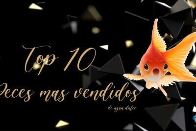 Cartel elegante negro con texto Top 10 peces mas vendidos y un pez dorado llamativo SKFrPd zRUY