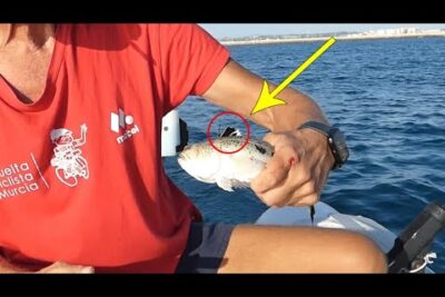 Persona en un bote sosteniendo un pez pequeño con el mar y la costa al fondo