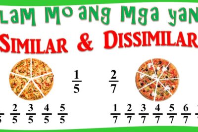Pizzas divididas en 5 y 7 porciones para comparar fracciones X2Nqgdm C1Y.