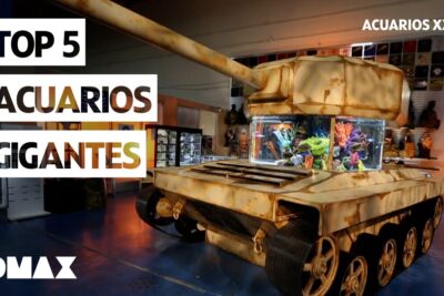 Acuario con forma de tanque militar y corales decorativos en exposición X6FAKRY71uY