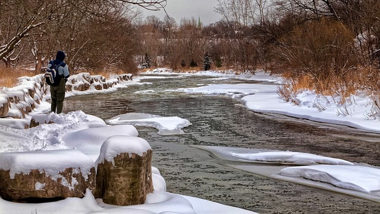 aprende pescar carpas hielo