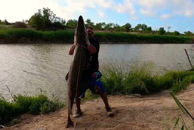 Hombre sujetando un enorme pez en la orilla del río bZFAnmYVMxY