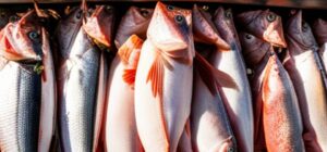 Pescados frescos colgados en la borda del barco mostrando beneficios pesca sostenible seguridad alimentaria.