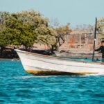 Causas de la pesca ilegal: descubre las principales razones