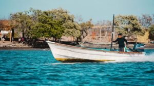 causas pesca ilegal principales razones