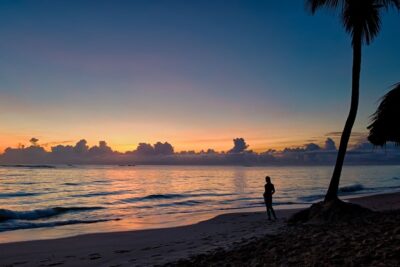 Atardecer en la playa con palmera y figura junto al mar, escena serena ideal para contenido sobre como elegir cana pescar perfecta hielo