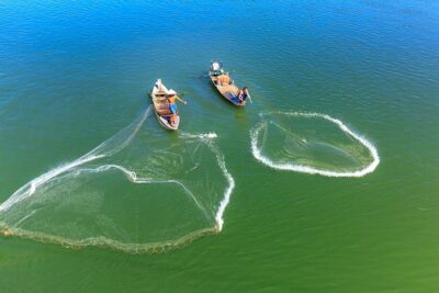 Pescadores en dos botes lanzando redes circulares sobre agua verde demostrando como mejorar practicas pesca comercial.