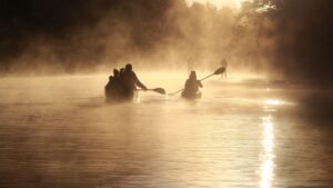 Palistas remando en kayaks al amanecer entre niebla dorada, perfecta para consejos transportar equipo pesca kayak