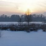 ¿Cuál es la temperatura ideal para la pesca en hielo?