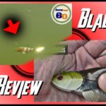 Comparativa: Shimano vs. Hart en Señuelos de Pesca