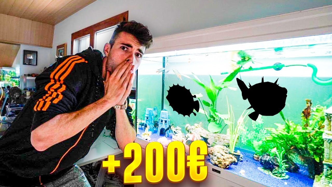 Hombre sorprendido ante un acuario decorado con siluetas de peces y la referencia eMA1YgtB 0g