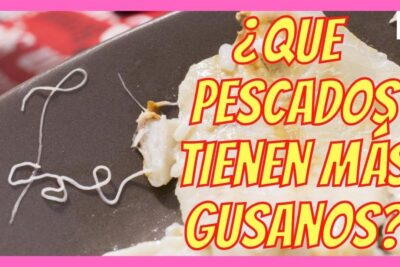 Filete de pescado en plato oscuro con gusanos blancos visibles fjd3w iRgug