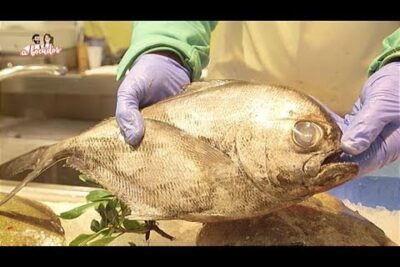 Trabajador con guantes sosteniendo un pescado plateado gEIWf2hMB7M sobre hielo en mostrador de mariscos