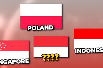 Cuatro banderas rectangulares sobre fondo rojo: Polonia, Singapur, Indonesia y una bandera sin identificar