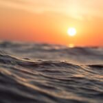 Guía y consejos de limpieza en pesca con mosca en agua salada