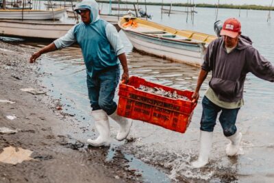 Pescadores costeros cargando una caja de peces junto a botes en la orilla, imagen relacionada con guia mejores lideres pesca mosca agua salada