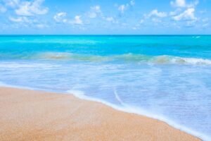 guia pesca mosca agua salada destinos destacados