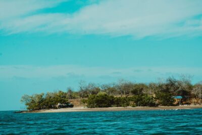 Costa tranquila con agua azul, vegetación y construcciones en la orilla ilustrando guia practica promover pesca sostenible comunidades pesqueras.