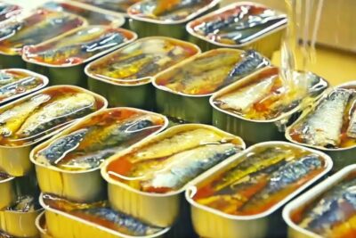 Filas de latas abiertas con filetes de sardina bañados en aceite durante el envasado hctsEaRaQQs.