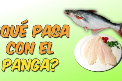 Pez panga entero y filetes de panga en un plato con tomate cherry sobre fondo verde y texto grande preguntando ¿Qué pasa con el panga? j9fvg0wd7Mo.