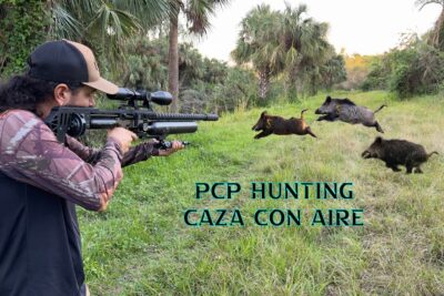 Persona con carabina PCP y visor apuntando a tres jabalíes en una pradera con palmeras, jro1cg7E52s