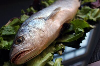 Pescado entero crudo sobre hojas verdes, jx BeQPPWNo.