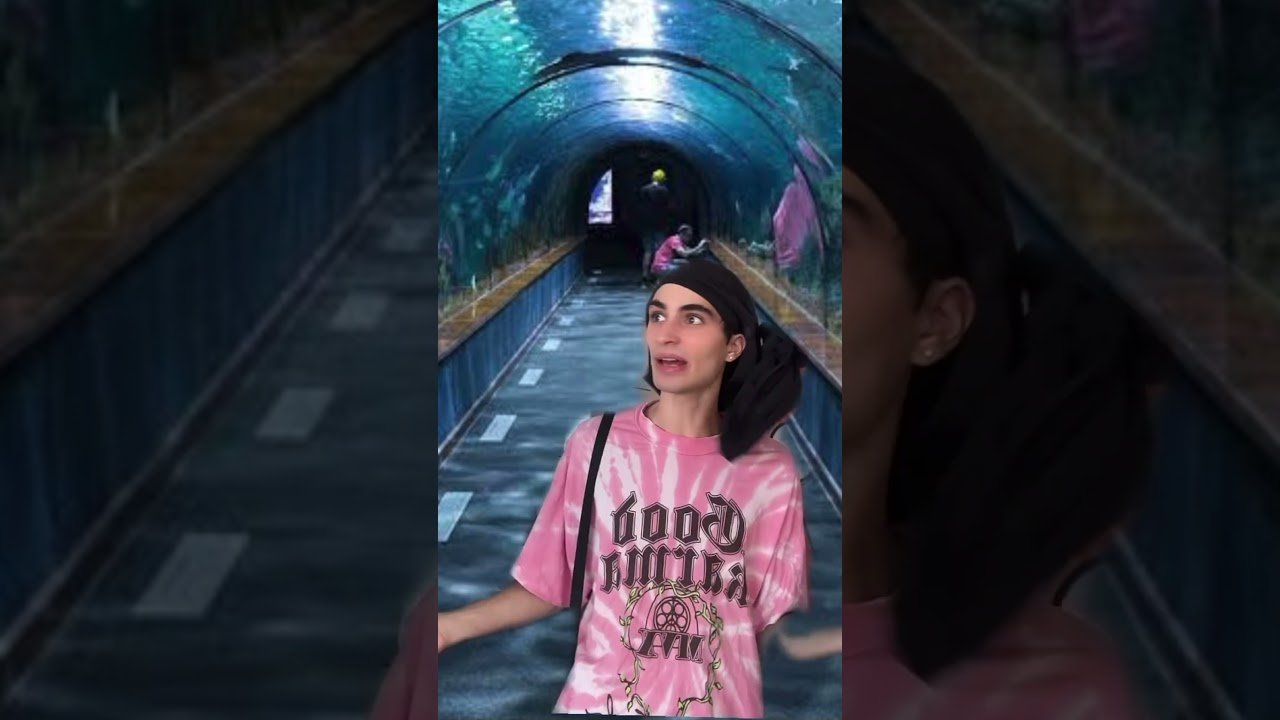 k E3rgelSAQ