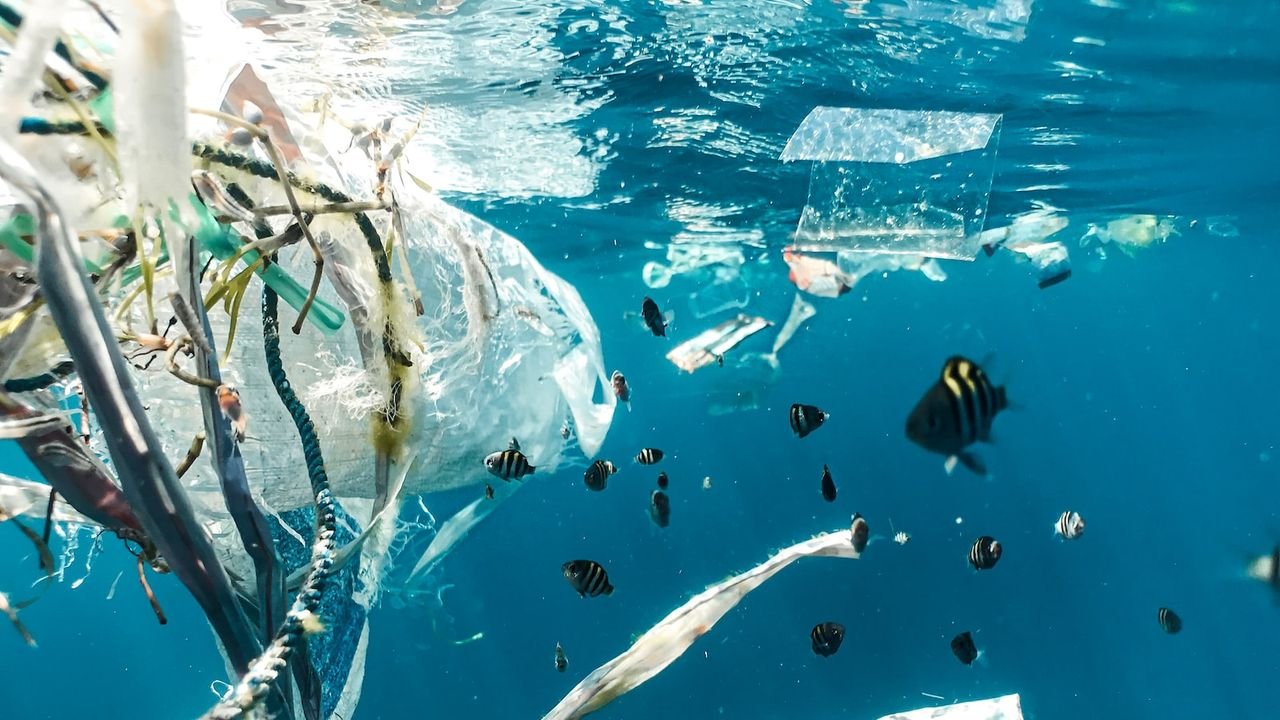 Pescadores sostenibles capturando peces mientras protegen el ecosistema marino