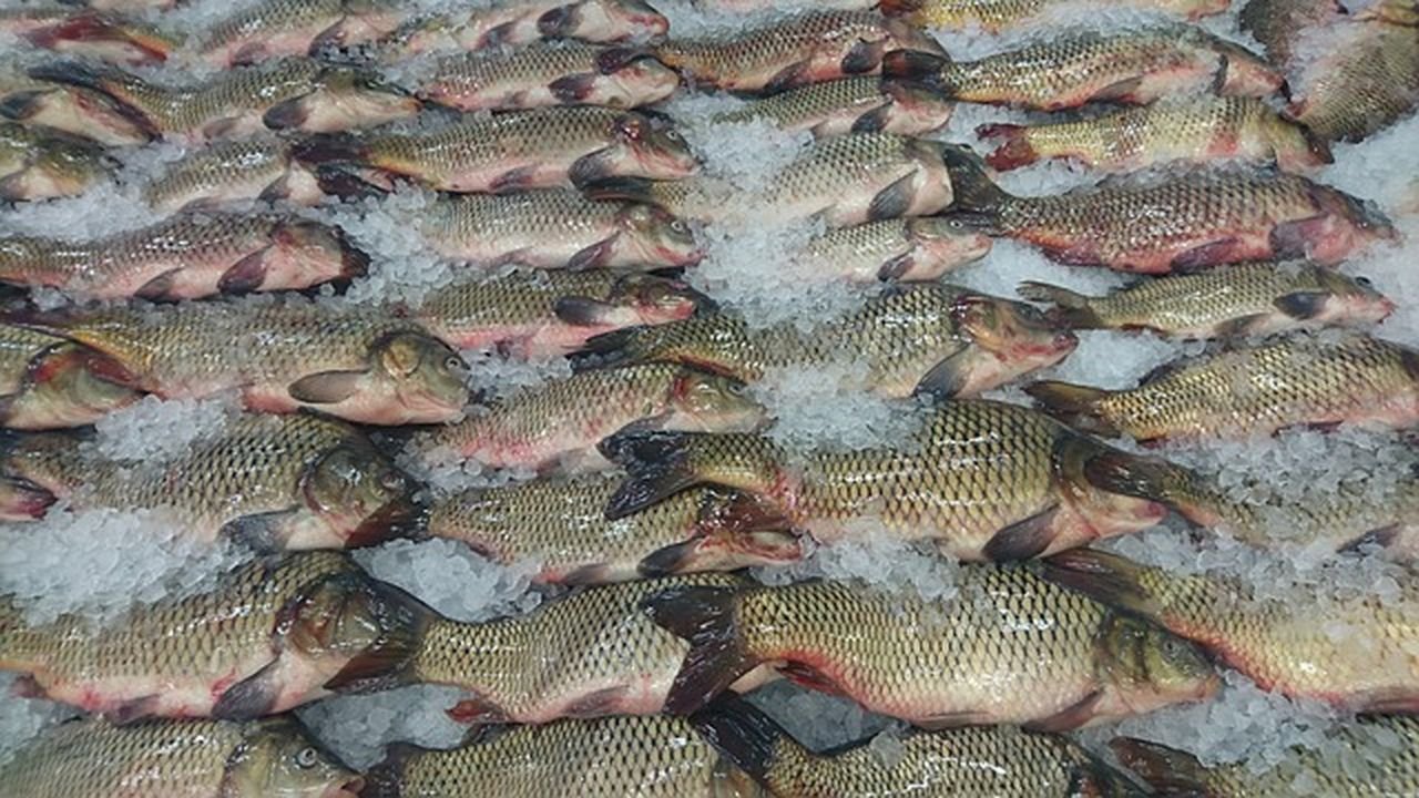 la mejor manera preparar pescado