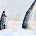 Las mejores especies de peces para pescar en hielo en las costas