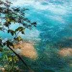 Los mejores destinos de pesca con mosca en agua salada en Brasil